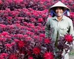 Công ty vệ sinh tại Bình Dương