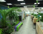 Tầm quan trọng của cây xanh