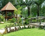 Công ty cây xanh ở Bình Dương | Dịch vụ cây xanh tại Bương
