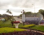 Công ty dịch vụ cắt tỉa cây xanh tại Bình Dương | Chặt cây xanh tại Bình Dương