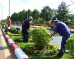 Dịch vụ cây xanh Tại Bình Dương | Công ty cây xanh Tại Bình Dương