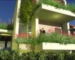Công ty chăm sóc cây xanh tại Bình Dương | Công ty cây xanh
