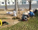 Công ty vệ sinh công nghiệp tại Bình Dương