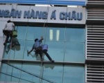 Chăm sóc cây xanh Bình Dương | Công ty cây xanh tại Bình Dương